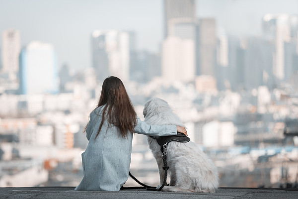 寵物溝通：如何在愛犬翩翩離去後，找到心靈的寄託與療癒！