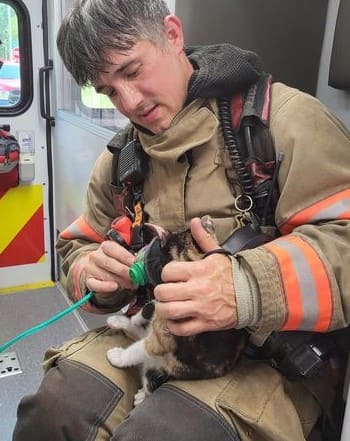 公寓大火！消防員救出三花貓，緊急吸氧治療後和主人團聚