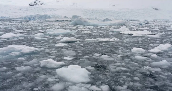 南極洲海冰減少對全球氣候和生態系統的重大影響