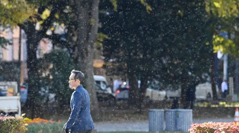 遊日注意！北海道「漫天雪蟲」驚嚇遊客